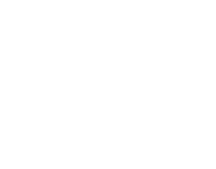Blossom Accelerator